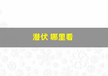 潜伏 哪里看